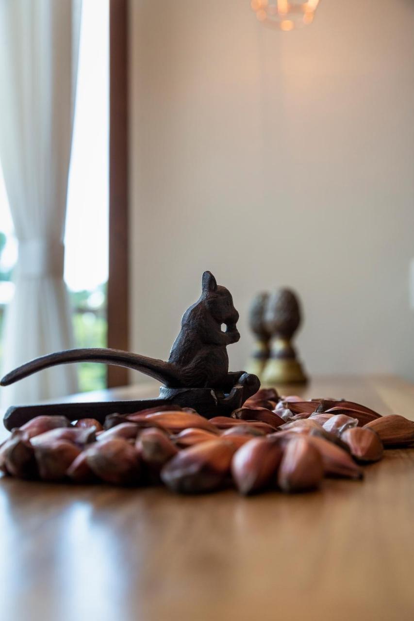 Hotel Boutique Quebra-Noz Campos do Jordão 外观 照片